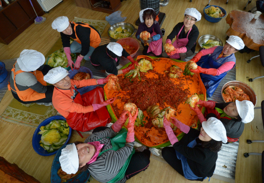 지난 11월 14일 강원 철원군 서면 자등리 마을회관에서 한국유나이티드제약 임직원들과 마을 주민들이 김치를 담그며 즐거워하고 있다.   김호웅 기자 diverkim@