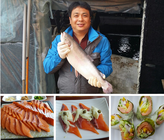 전남도해양수산과학원 소속 전영호 박사가 지난 11월 21일 전남 고흥군 금산면 성해수산의 육상 양식장에서 1년 여 동안 기른 바다송어(무게 3.15㎏ )를 들어보이고 있다. 아래 사진은 왼쪽부터 바다송어회, 바다송어초밥, 바다송어야채말이.