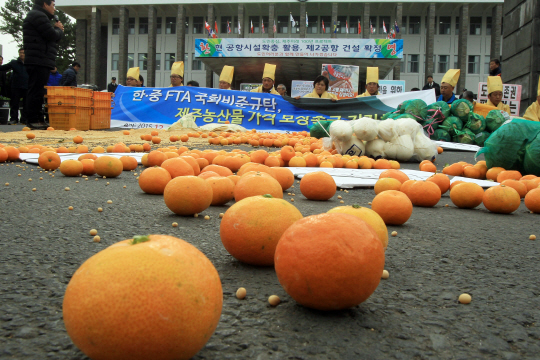 전국농민회총연맹 제주도연맹 등 농민단체들이 2일 제주도청 앞에서 상복 차림으로 감귤 등을 땅에 내던지는 등 한·중 자유무역협정(FTA) 국회 비준 동의를 규탄하는 내용의 기자회견을 열고 있다.  뉴시스