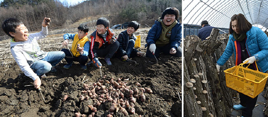 <국민건강 농업인 행복찾기>철새群舞 보고 엿 만들고 DMZ 가고… 연말 ‘농촌3樂’ 즐긴다