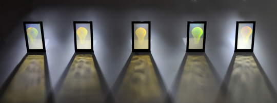 레이박, ‘전구의 생명 (The Life of Light bulbs)’, Transmission hologram, 2015