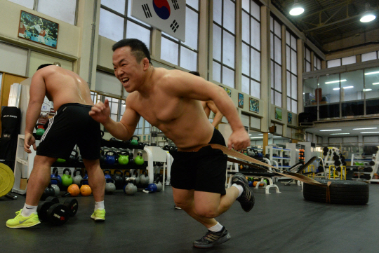 레슬링 자유형 57㎏급의 김성권이 지난 12월 11일 태릉선수촌 월계관에서 자신의 몸무게보다 무거운 80㎏짜리 대형 타이어를 끌고 있다.