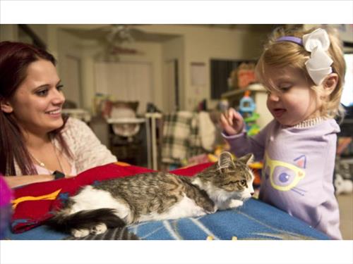 스칼렛 팁턴과 고양이 닥 맥스터핀스. 프레스 엔터프라이즈 캡처