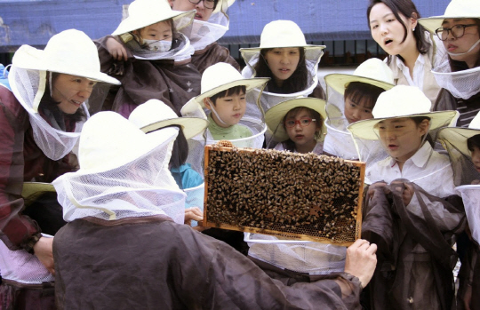 <착한 경제, 사회적 기업 1000개 시대>도심 옥상서 꿀 수확… 빈곤지역 나무 심고 꿀벌 위한 정원도