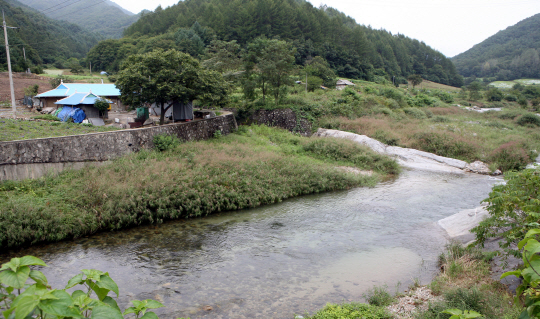 강원 횡성군 청일면 고시리 조병만 할아버지와 강계열 할머니가 살던 아늑한 집에는 지금은 아무도 살지 않지만 집 앞 개울은 묵묵히 흐르고 있다. 할머니는 촬영이 끝난 후 읍내 아파트로 이사했다. 진모영 감독 제공