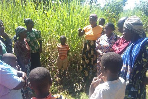 지난 26일 케냐 서부 카카메가 한 마을에서 2세 여아가 생매장돼 숨지자 마을 사람들이 충격에 휩싸였다 <<데일리 네이션>>