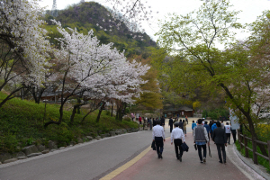 서울 남산의 공원화 사업으로 본래 차도였던 곳을 보행자 전용도로로 조성한 남산 북측순환로. 오르내림이 거의 없는 부드러운 길이어서 보행장애인이나 노약자들도 쉽게 걸을 수 있다.