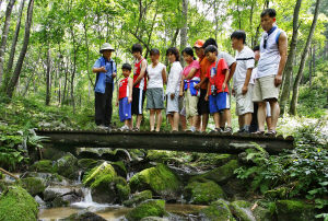 청태산자연휴양림은 다양한 체험프로그램을 운영한다. 관광객들이 숲 해설가로부터 설명을 듣는 모습.