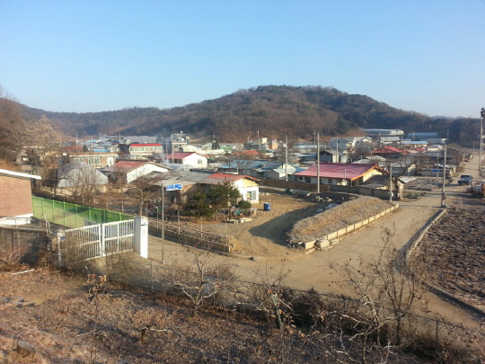 <1사1촌이 행복시대 이끈다>휴전선 5㎞ 인접 ‘철새 도래지’… 겨울 기러기떼 장관