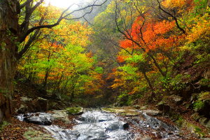 <1사1촌이 행복시대 이끈다>팔봉산 등과 ‘홍천 9景’… 인적 드문 원시美 일품 트레킹·단풍놀이 제격