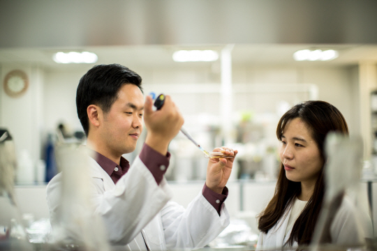 한국야쿠르트 중앙연구소 연구원들이 5일 경기 용인시 기흥구 중앙연구소 실험실에서 유산균 연구개발작업을 하고 있다.