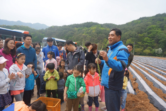 홍성수(오른쪽) 이장이 호텔신라 직원 가족들에게 고구마 순 심는 법을 알려 주고 있다.   호텔신라 제공