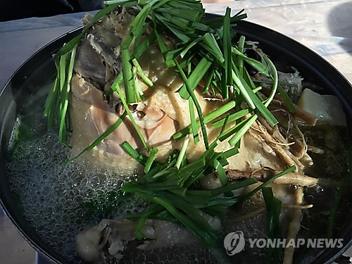 [연합뉴스 자료사진]