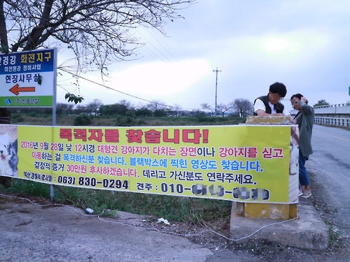 실종 대형견 찾는 플래카드. [주인제공 = 연합뉴스]