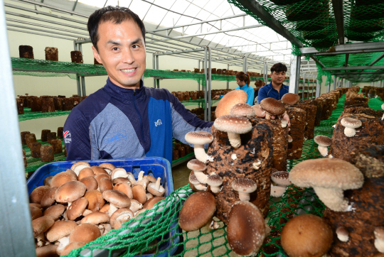 경북 의성군 단밀면 위중2리 ‘맑은농장’에서 박광서 씨가 수확한 표고버섯을 들고 환하게 웃고 있다.