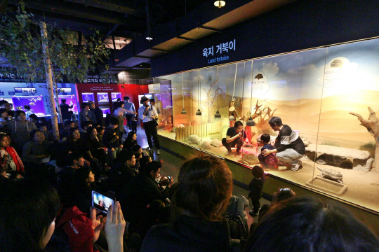 서울 삼성동의 코엑스아쿠아리움이 진행하고 있는 ‘스타 특별전’ 이벤트. 코엑스아쿠아리움은 12월 18일까지 수험생은 물론 동반 1인까지 입장료를 반값만 받는다.