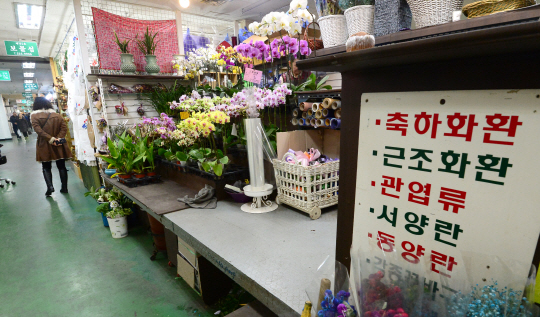 4일 오전 서울 서초구 반포동 강남고속버스터미널 화훼상가 꽃집들이 인사철에도 불구하고 손님이 없어 한산한 모습을 보이고 있다.