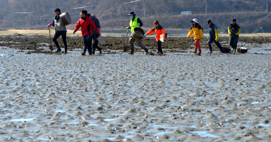 <카메라 기행>‘해양생물자원 主權’ 선점하라… 갯벌 속의 전쟁