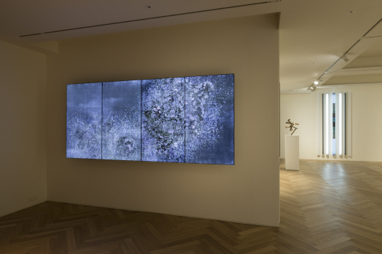 페이스 서울에 전시 중인 팀 랩의 작품 ‘Ever Blossoming Life II’. 뒤편에 조엘 샤피로(왼쪽)와 로버트 어윈 작품이 보인다.  페이스 서울 갤러리 제공