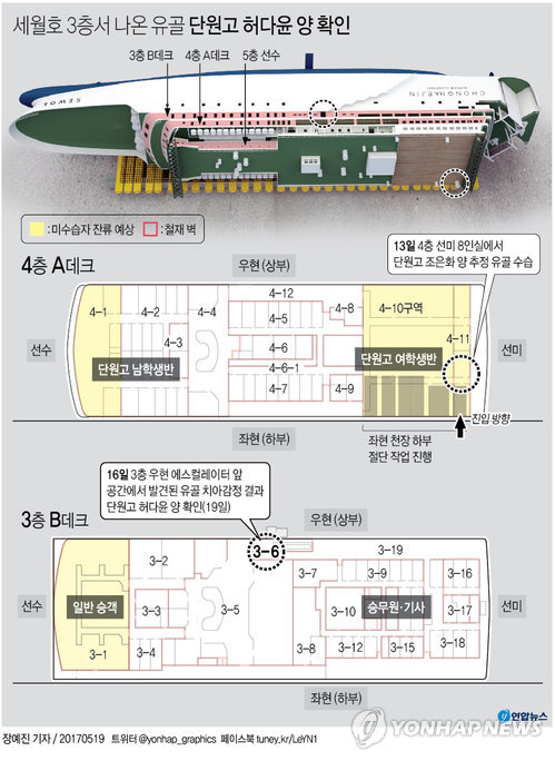 [그래픽] 세월호 3층서 나온 유골 단원고 허다윤양 확인