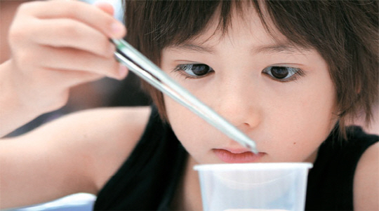 젓가락은 세상에서 가장 오래된 식사 도구 중 하나로, 전 세계로 영역을 넓히고 있다.