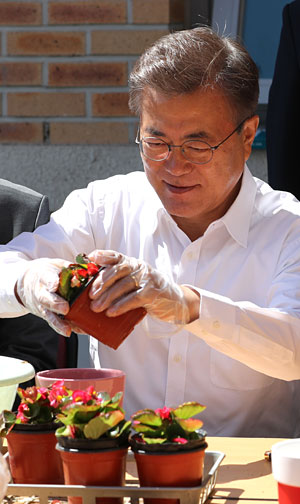 문재인 대통령이 2일 오전 서울 강남구 국민건강보험 서울요양원을 방문해 원예치료 중인 치매 환자들과 화분 만들기를 하고 있다. 문 대통령은 이날 치매 환자 및 가족, 종사자들과 간담회를 열고 “선거 기간에 약속했던 ‘국가치매책임제’를 반드시 실천하겠다”고 밝혔다. 연합뉴스