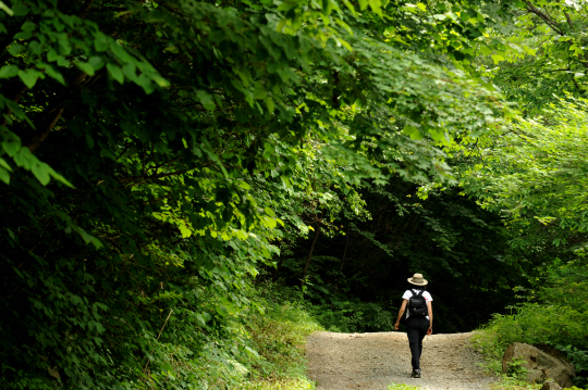 <서광스님의 치유하는 마음여행>“마음은 매순간 輪廻… ‘인간의 마음’ 유지해야 자존감 지켜”