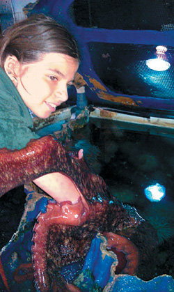 뉴잉글랜드 아쿠아리움의 문어 옥타비아가 10대 자원봉사 소녀 애나를 포옹하고 있다. 애나는 문어와의 교감을 통해 많은 위로를 받았다고 한다.