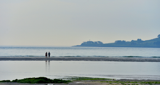 <서광스님의 치유하는 마음여행>“단단한 火의 응어리… 그 안엔 연약한 내가 숨어있어”