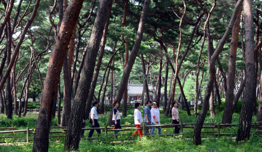 지난 19일 서울 강북구 우이동 솔밭공원 내 산책길에서 주민들이 이야기를 나누며 걷고 있다.
