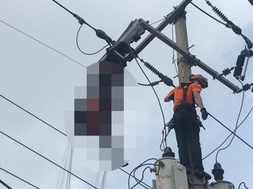 패러글라이딩 추락사고 구조 나선 소방(제주=연합뉴스) 25일 제주시 한림읍 금악오름 상공에서 패러글라이딩하던 2명이 추락, 전깃줄에 걸리는 사고가 나 소방 당국이 구조하고 있다. 2017.7.25 [제주서부소방서 제공=연합뉴스]