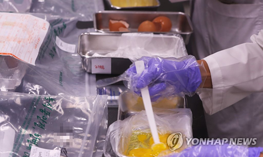 계란 검사하는 관계자들[연합뉴스 자료사진]