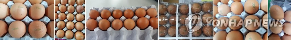 살충제 초과검출 계란 사진 [식약처 제공]