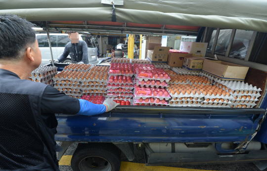 살충제 계란 사태로 판매량이 급감한 서울 마포구의 한 계란 도매상 직원들이 21일 오전 식당과 소매점으로 배달할 계란을 살펴보고 있다.