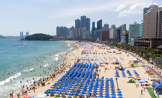 지난 8월 해운대해수욕