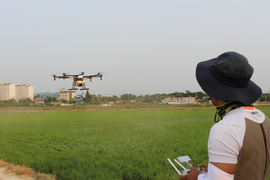 지난 7월 충남 아산시의 논에서 영농조합법인 대표가 드론을 이용해 제초제를 살포하고 있다.  농협중앙회 제공