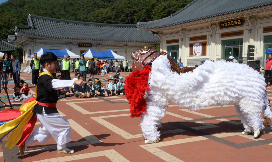 가얏고마을 축제 도중 농악 연주자의 반주와 함께 사자춤 공연이 시연됐다.