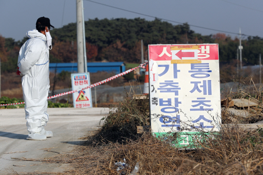 20일 오전 고병원성 조류 인플루엔자(AI) H5형 항원이 검출된 전북 고창군의 한 오리 농가 주변에서 방역 대원이 차량을 통제하고 있다.  연합뉴스