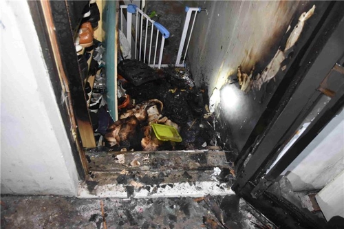 [서울 강동소방서 제공=연합뉴스]