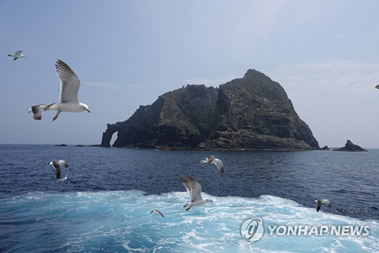 독도 갈매기 [연합뉴스 자료사진]