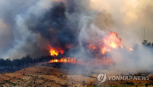 (고성=연합뉴스) 28일 오전 강원 고성군 간성읍의 야산에서 산불이 발생해 불길이 번지고 있다. [강원소방본부 제공=연합뉴스]