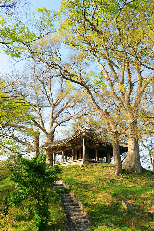 영산강의 물길을 따라 자그마치 923개의 정자가 있다. 영산강 변의 정자를 행정구역으로 나눠 헤아려 보면 나주가 165개로 가장 많다. 그중에서 최고가 바로 여기 벽류정이다. 가운데 방을 두고 사방에 마루를 놓았는데, 벽류정 마루는 봄을 바라보기에 가장 좋은 자리다.