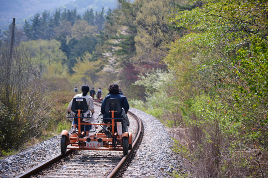 전남 곡성 섬진강 기차 마을 인근의 침곡역과 가정역 사이를 운행하는 섬진강 레일바이크. 철로 옆으로 내내 섬진강의 풍경을 보며 달린다.