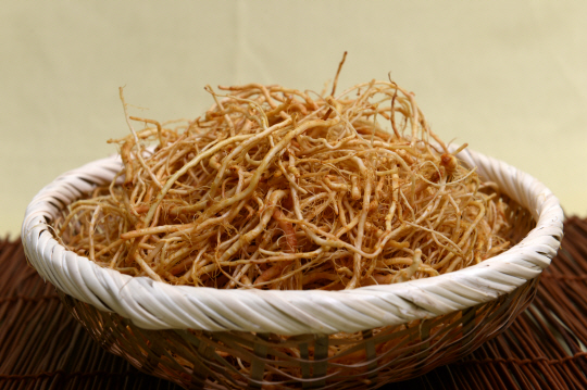 <윤승일 원장의 디톡스 푸드>씀바귀, 체내에 쌓인 곰팡이균 줄여줘… 만성피로 해소 탁월