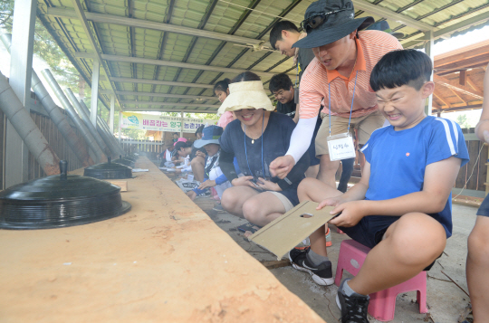 지난 21일 강원 양구군 방산면 오미리 농촌체험장에서 학생들이 구슬땀을 흘리며 ‘가마솥 밥 짓기’ 체험을 하고 있다.  김동훈 기자 dhk@