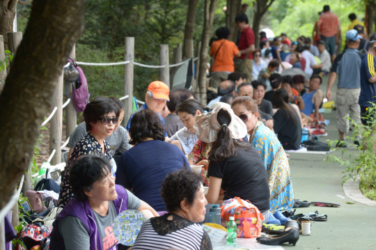 연일 계속되는 사상 최악의 폭염에 지친 시민들이 휴일인 29일 서울 도봉구 도봉산 물놀이장의 나무그늘에 발 디딜 틈도 없이 모여 앉아 더위를 식히고 있다.  김호웅 기자 diverkim@
