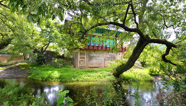 봉화 닭실마을의 정자 청암정. 연못을 둘러친 거북 모양의 바위 위에 정자가 올라앉은 형상이다.