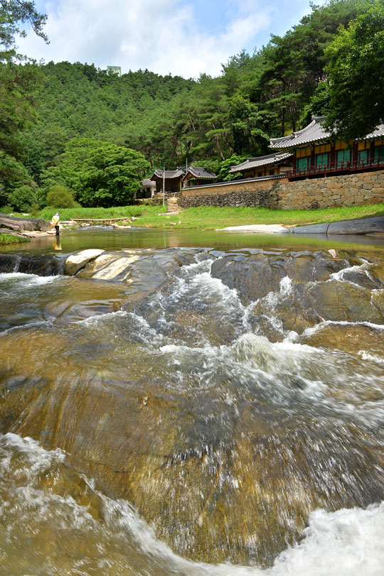 나지막한 산세와 울창한 소나무 숲이 어우러진 계곡 바로 옆에 들어선 석천정사. 골이 깊지 않은데도 고즈넉한 분위기와 청아한 물소리로 마치 딴 세상에 와 있는 듯한 느낌이 든다. 석천정사는 인근 닭실마을의 정자 청암정과 함께 ‘명승’으로 지정된 곳이다.