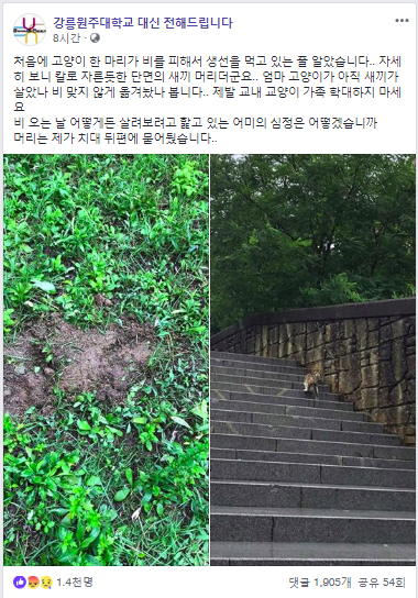 [페이스북 ‘강릉원주대학교 대신 전해드립니다’ 페이지 화면 갈무리]