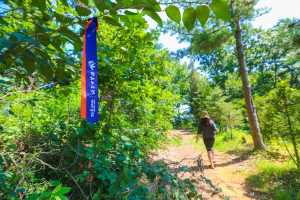 김포 평화누리길.